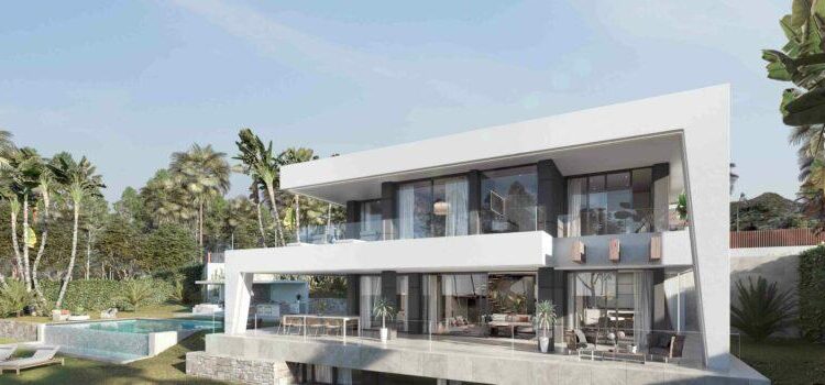 Belgian Real Estate Agents Prepare for a Wave of Dutch Homebuyers: Demand Soars!