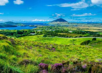 Trump’s Tariffs: A Brewing Storm for Ireland’s Booming Pharma Industry