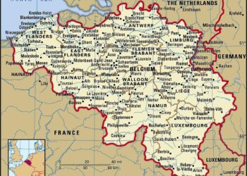 Forging a Healthier Tomorrow: Belgium and WHO Join Forces to Set Strategic Collaboration Goals