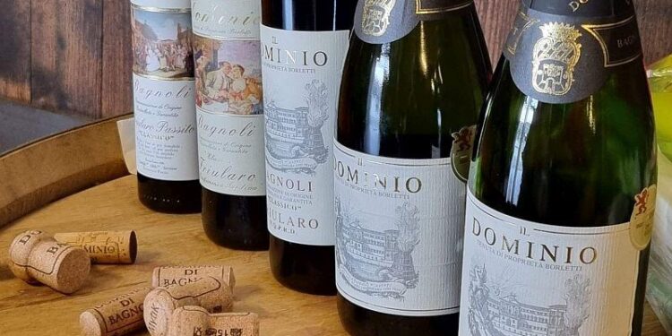 Savor Summer with These Irresistible Italian Wines to Elevate Your Barbecue
