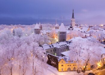 Estonia Strongly Condemns Russian Attacks on Ukraine, Comparing Them to Nazi Bombing of London
