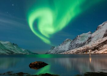 Norway Cracks Down as School-Leavers’ Russ Bus Parties Spiral Out of Control