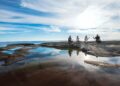 Discover the Hidden Charms of the Åland Islands, Finland