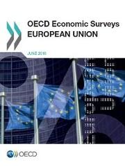 Inside Luxembourg’s Economic Future: Key Insights from the 2025 Survey