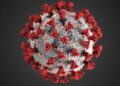 Advancing Molecular Surveillance of SARS-CoV-2 in the Czech Republic (2021-2022)