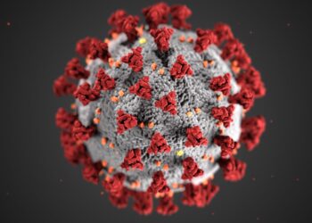 Advancing Molecular Surveillance of SARS-CoV-2 in the Czech Republic (2021-2022)