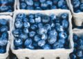UK Blueberries and Cranberries Market Set for Steady Growth, Reaching 74K Tons and $543M by 2035