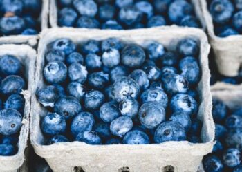 UK Blueberries and Cranberries Market Set for Steady Growth, Reaching 74K Tons and $543M by 2035