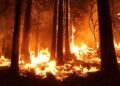 Wildfire Scorches 3,250 Acres in Shamong Township, Now 30% Contained