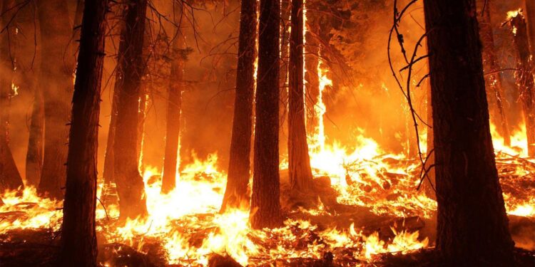 Wildfire Scorches 3,250 Acres in Shamong Township, Now 30% Contained