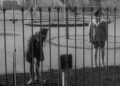 Silent Playground: North Macedonia’s Children’s Resort Falls into Ruin as Investors Take Notice