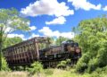 Bulgaria to Boost Green Travel with Purchase of 20 Biodiesel-Powered Passenger Trains