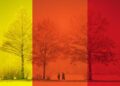 Strong Winds Trigger Yellow Weather Alert Across South Iceland