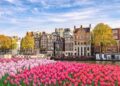 The Netherlands Set to Showcase Their Quality in England Semi-Final, Says Robin Roefs