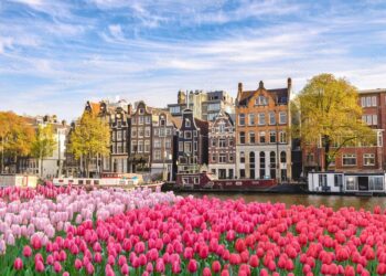 The Netherlands Set to Showcase Their Quality in England Semi-Final, Says Robin Roefs