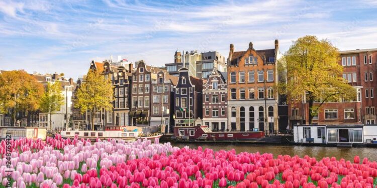 The Netherlands Set to Showcase Their Quality in England Semi-Final, Says Robin Roefs