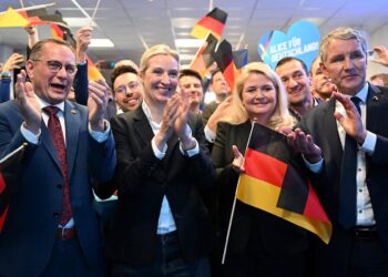 She Took on German Conservatives Online – and They Never Let It Go