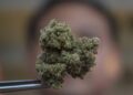 Man Uses Stranger’s Address to Receive £10,000 Worth of Cannabis on the Isle of Man