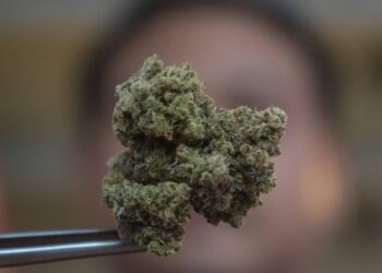 Man Uses Stranger’s Address to Receive £10,000 Worth of Cannabis on the Isle of Man