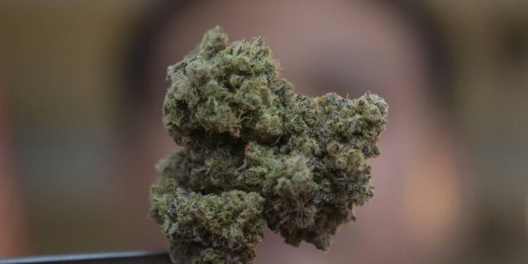 Man Uses Stranger’s Address to Receive £10,000 Worth of Cannabis on the Isle of Man