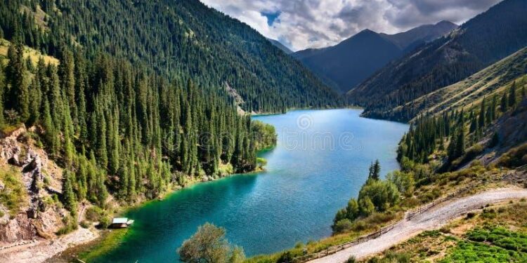 Seven New International University Campuses Set to Launch in Kazakhstan Next Year