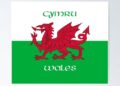 Cymru vs Liechtenstein: Essential Matchday Info for Supporters