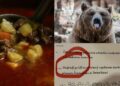 From Forest to Fork: Slovakia Opens Market for Culled Bear Meat