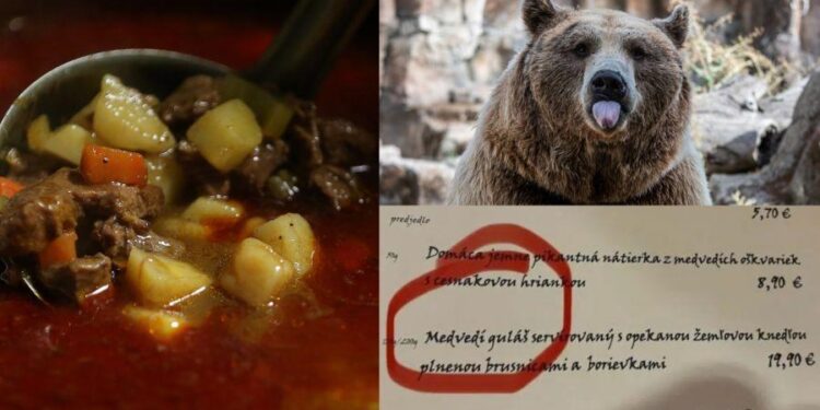 From Forest to Fork: Slovakia Opens Market for Culled Bear Meat