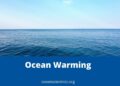 I Lost My Battle”: How Warming Seas Are Devastating Albania’s Fishing Industry