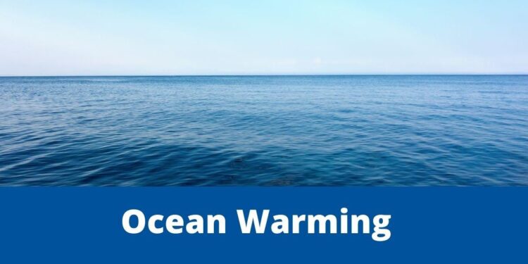 I Lost My Battle”: How Warming Seas Are Devastating Albania’s Fishing Industry