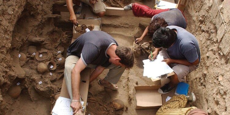 Archaeologists Unearth 141 Ancient Gold Coins Featuring Nine Roman Emperors in Luxembourg