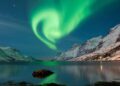 Norway Takes Bold Action Against Deforestation with New EU-Inspired Measures