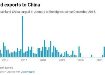 Swiss Exports Slow Down as Strong Franc Dampens Global Demand