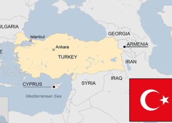 51 Years On: Turkey Demands Two-State Cyprus, Defying Calls for Unity – GreekReporter.com