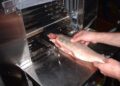Whitefish Processors Explore New Technologies on Faroe Islands Mission – The Fishing Daily