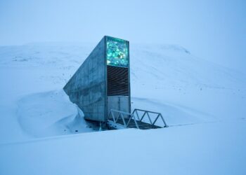 From fields in Georgia to the Global Seed Vault in Svalbard, Norway – Food and Agriculture Organization