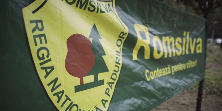 Romsilva Restructures: 12 Forestry Units, 10% Directors Kept – The Romania Journal