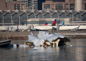 Plane carrying 49 people on board crashes in Russia’s far east region – France 24