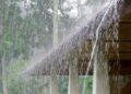Rain, thunder, and hail: meteorologists issue warnings for all of Latvia – Baltic News Network