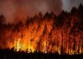 Turkey, Bulgaria battle wildfires amid Mediterranean heatwave – KPVI