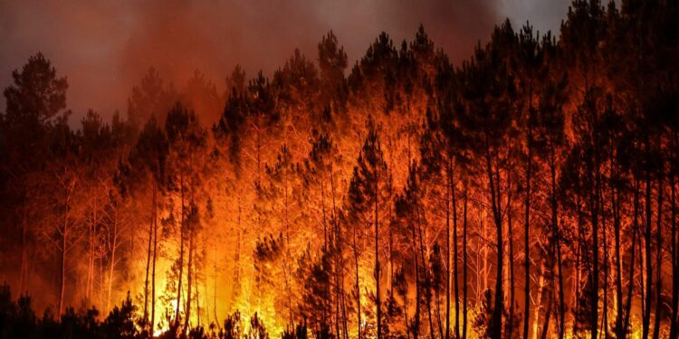 Turkey, Bulgaria battle wildfires amid Mediterranean heatwave – KPVI