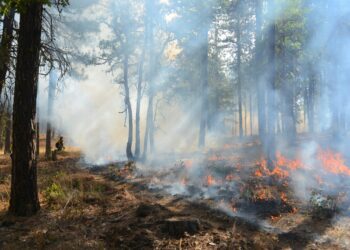 Rapidly spreading wildfire in southern France leaves one dead – France 24