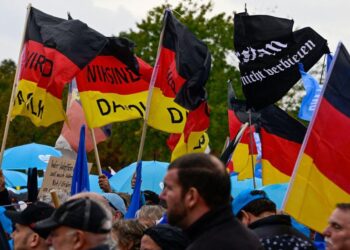 🌊 How a far-right party is shaping the ‘new’ old Romanian man – European Consortium for Political Research (ECPR)