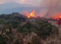 Albania and Bulgaria ask EU for help to deal with raging wildfires – Euronews.com