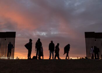Over 550 Illegal Crossing Attempts From Belarus Recorded at Polish Border in Three Days – UNITED24 Media