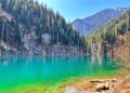 Kazakhstan Plans to Boost Agricultural Exports to Serbia – The Times Of Central Asia