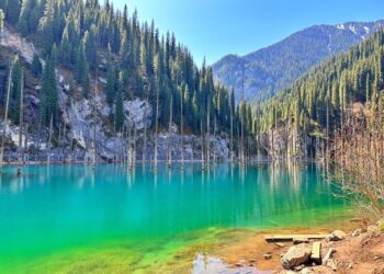 Kazakhstan Plans to Boost Agricultural Exports to Serbia – The Times Of Central Asia