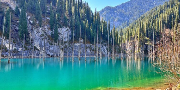 Kazakhstan Plans to Boost Agricultural Exports to Serbia – The Times Of Central Asia