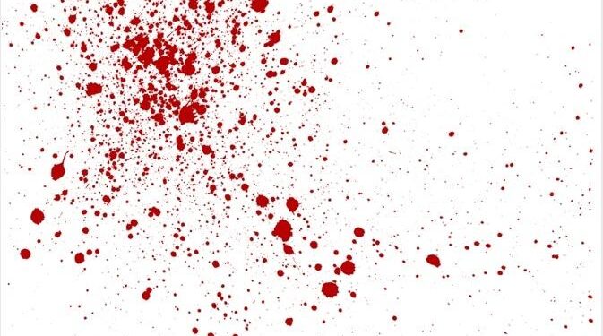 Bloodstains announce Spain tour – Punknews