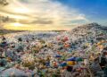 People disposing of waste incorrectly in St Peter Port – BBC
